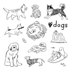 Dogs funny pets vector illustration set