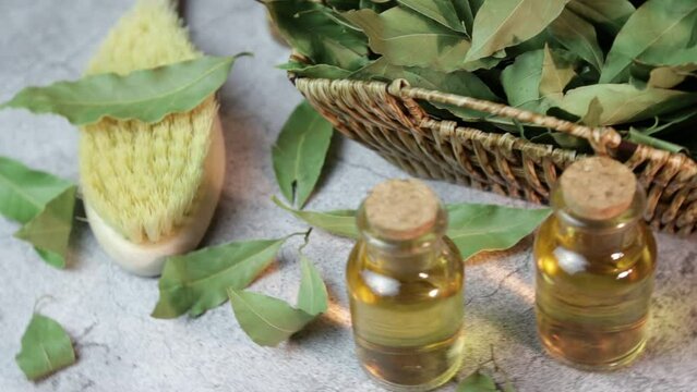 Natural essential oil of laurel. Tincture lotion from bay leaf. Herbal medicine and homemade cosmetics
