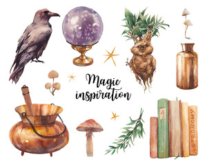 Magic inspiration artwork. Decorative objects isolated on white background. Mandrake, glass bottle, cauldron, crow, crystal ball, plants, mushrooms.