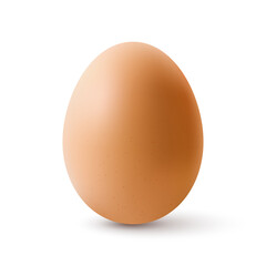 Fresh Organic Chicken Egg. Realistic Chicken Brown Egg with Shadow Effects. Isolated on White Background