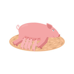 Vector illustration of a pig feeding piglets isolated on a white background.