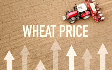 Rising wheat price, grain prices, agricultural products, inflation, in the background a tractor...
