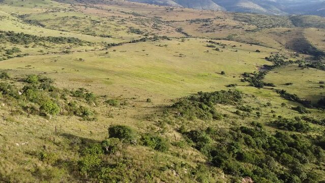 Zululand Landscape