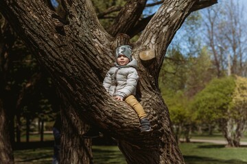 A cute little boy wearing warm jacket and khaki beanie sitting on the branch of big tree. Image with selective focus