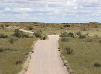 Open dirt road in the Kgalagadi, South Africa