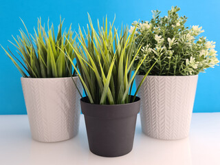 Artificial plant in white and black pot closeup