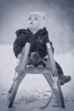 One Year Old Baby On Wooden Toboggan With Ferret Friend