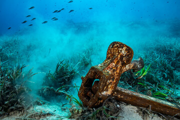 Anchor wreck with fishes in underwater