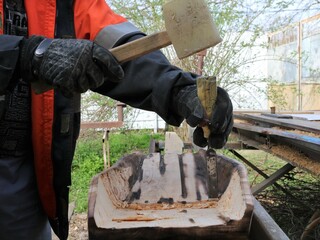 carpenter working with a mallet and a chisel outdoors in a rural yard making a gold pan from solid wood, creating a digging pan in a home workshop setting using hand tools
