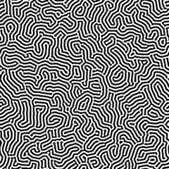 Reaction diffusion texture vector seamless organic rounded jumble maze lines patterns in black and white. Abstract nature backgrounds