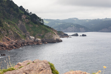 Calm waters of Bay of Biscay and sheer cliffs of its coast, covered with bright evergreen small plants. El Cabo Antzoriz, Lequeitio, Basque Country, Spain