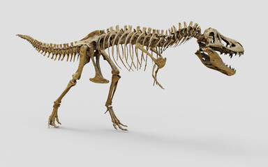 Tyrannosaurus Rex skeleton on isolated background. Dinosaur skeleton over white isolated background. 3d illustration © POSMGUYS
