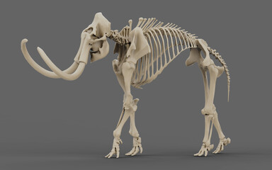 The skeleton of a mammoth in the dark. 3d rendering of mammoth elephant bones - obrazy, fototapety, plakaty