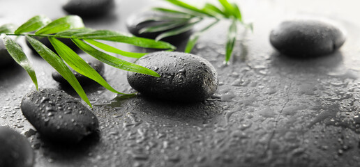 spa treatment - massage stones and green leaves on black wet background. banner