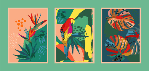 Fototapeta na wymiar Set of art prints with abstract tropical nature. Modern vector design for posters, cards, cover packaging and other