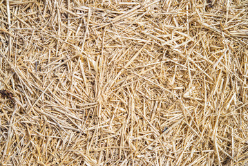 Background texture of hay  © stebren