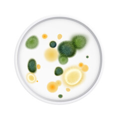 Mold Fungus Realistic Composition