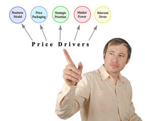 Man presenting six price drivers