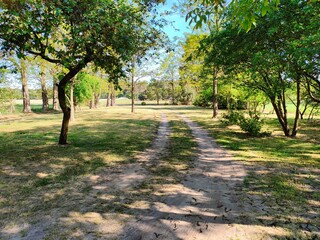 alley in the park