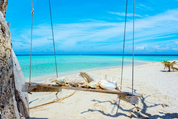 Underwater shells on the swing on the shore of the Indian Ocean. Maldives.