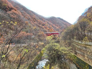 autumn in the mountains