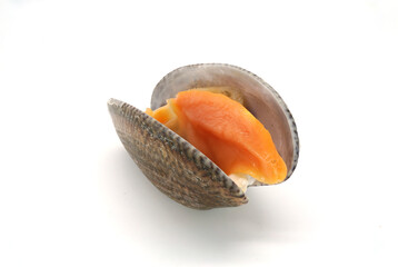 A striped clam, its shell opens its mouth to reveal its delicious orange inside, laid on a white...
