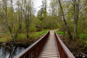 Fototapeta premium Small wooden bridge across the river on the eco-trail