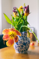 Niebieski wazon z tulipanami stoi na stole, pionowy kadr.