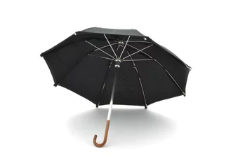 Fototapeten parapluie miniature © Anthony SEJOURNE