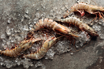 Fresh tiger prawns with crushed ice on rough background.