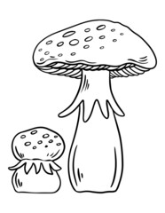 Outline mushrooms illustration. Coloring nature page for kids.
