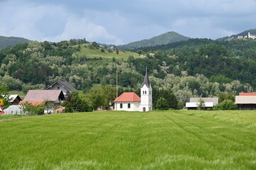 Fototapeta na wymiar Beautiful landscape of village with church and green field in the spring. Cereals grown in the field. 