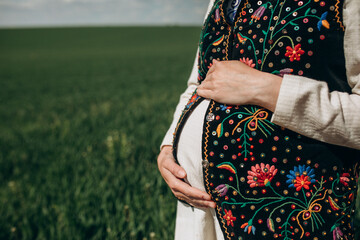 Young pregnant Ukrainian woman in ethnic national dress on a wheat field on an embroidered antique...