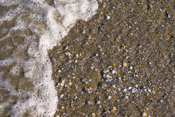 Sea foam from a wave running ashore. Black Sea coast