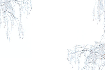 Winter frozen tree branch Photo overlays, Photoshop overlay, pine icy snow branch, png