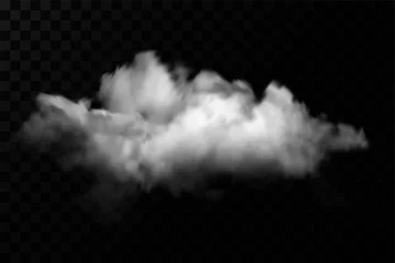 Poster Vector cloud of smoke or fog. Fog or cloud on an isolated transparent background. Smoke, fog, cloud png © SaroStock