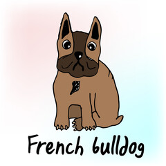 Vector hand drawn illustration of french bulldog