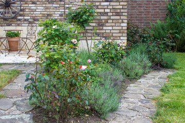 flowerbed in the garden - roses and lavender flowers