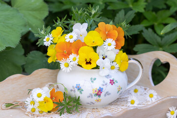 gelbe und orange Hornveilchen und Gänseblümchen in vintage Milchkanne als florale Dekoration