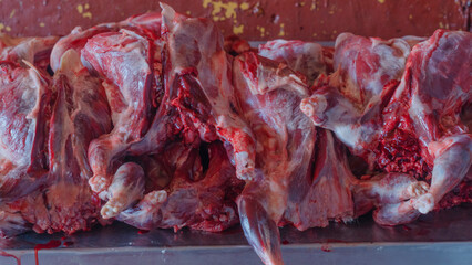 Butchered beaver carcasses. A hunting trophy. Bloody fresh beaver meat during butchering.