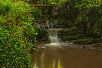 waterfall in the forest