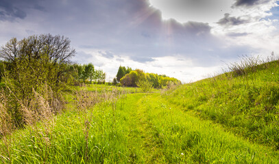 Obraz premium green path on the background of dry grass. Landscape of a hilly area against the backdrop of a forest