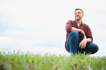A young farmer inspects the quality of wheat sprouts in the field. The concept of agriculture