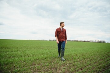 Young farmer stands in the green field checking and waiting for harvest to grow.