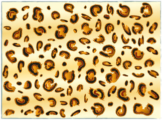 Leopard texture pattern design. Vector illustration background