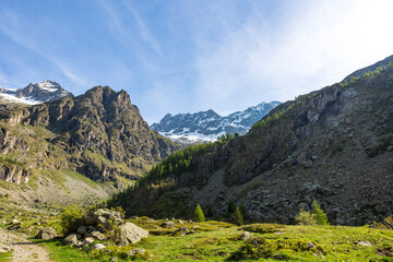 Fototapeta na wymiar Cirque du Gioberney depuis les chemins de randonnée du Lac du Lauzon dans la Vallée du Valgaudemar