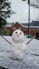 snowman on the snow