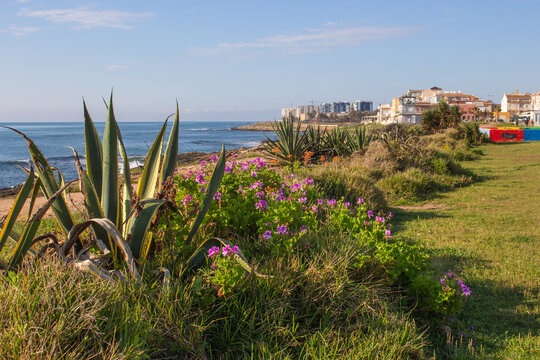 Vega Baja del Segura - Torrevieja - Paisajes de la Urbanizaci&oacute;n Mar Azul cerca de Cala Ferris.