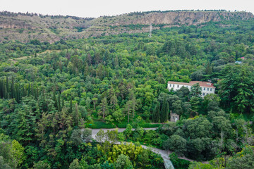 Fototapeta na wymiar lonely house home among trees in green forest, life in mountains, hermit lifestyle, good ecology, nature preserve, aerial view on road and many trees