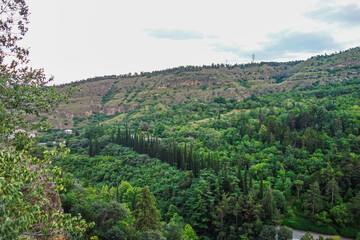 Fototapeta na wymiar aerial observation of green forest in hills 